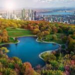 Best Career Coaching Services in Montreal, QC