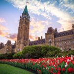 Best Career Coaching Services in Ottawa, ON